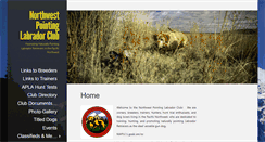 Desktop Screenshot of nwpointinglabs.org